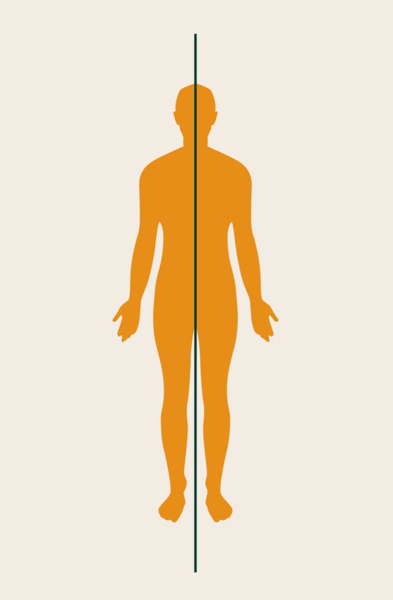 Illustration of a human figure with a vertical axis line running through the centre of the body