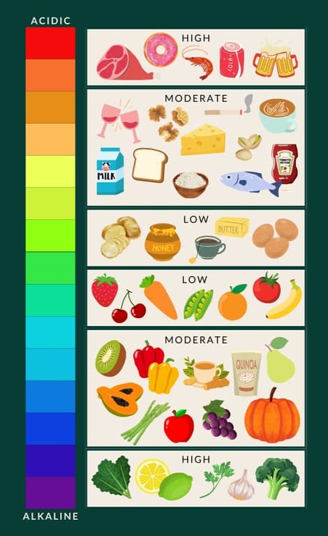 Chart grouping foods from highly acid-forming, such as meat and fizzy drinks, to highly alkaline-forming, such as leafy greens