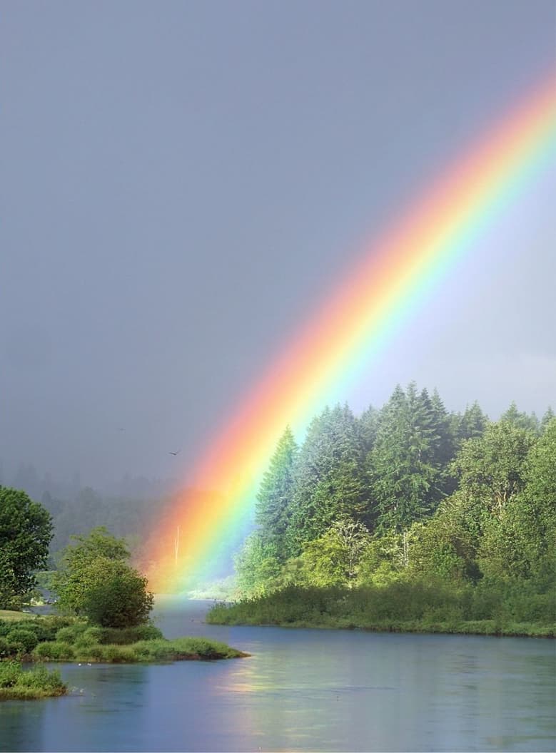 A vivid rainbow landing among forest trees beside a river