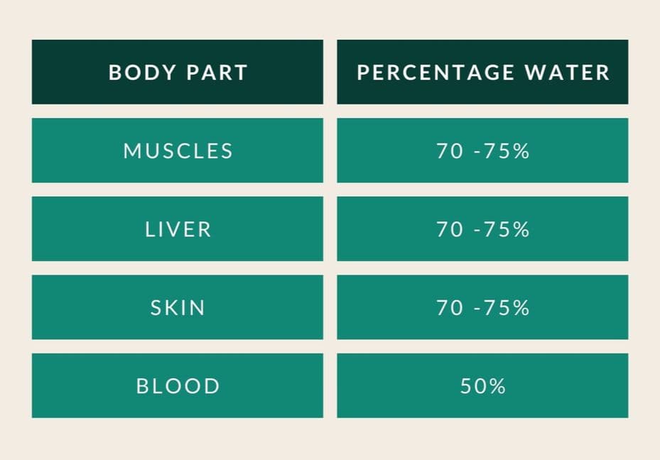Table of body parts and their percentage of water: muscles, liver and skin 70–75%, blood 50%