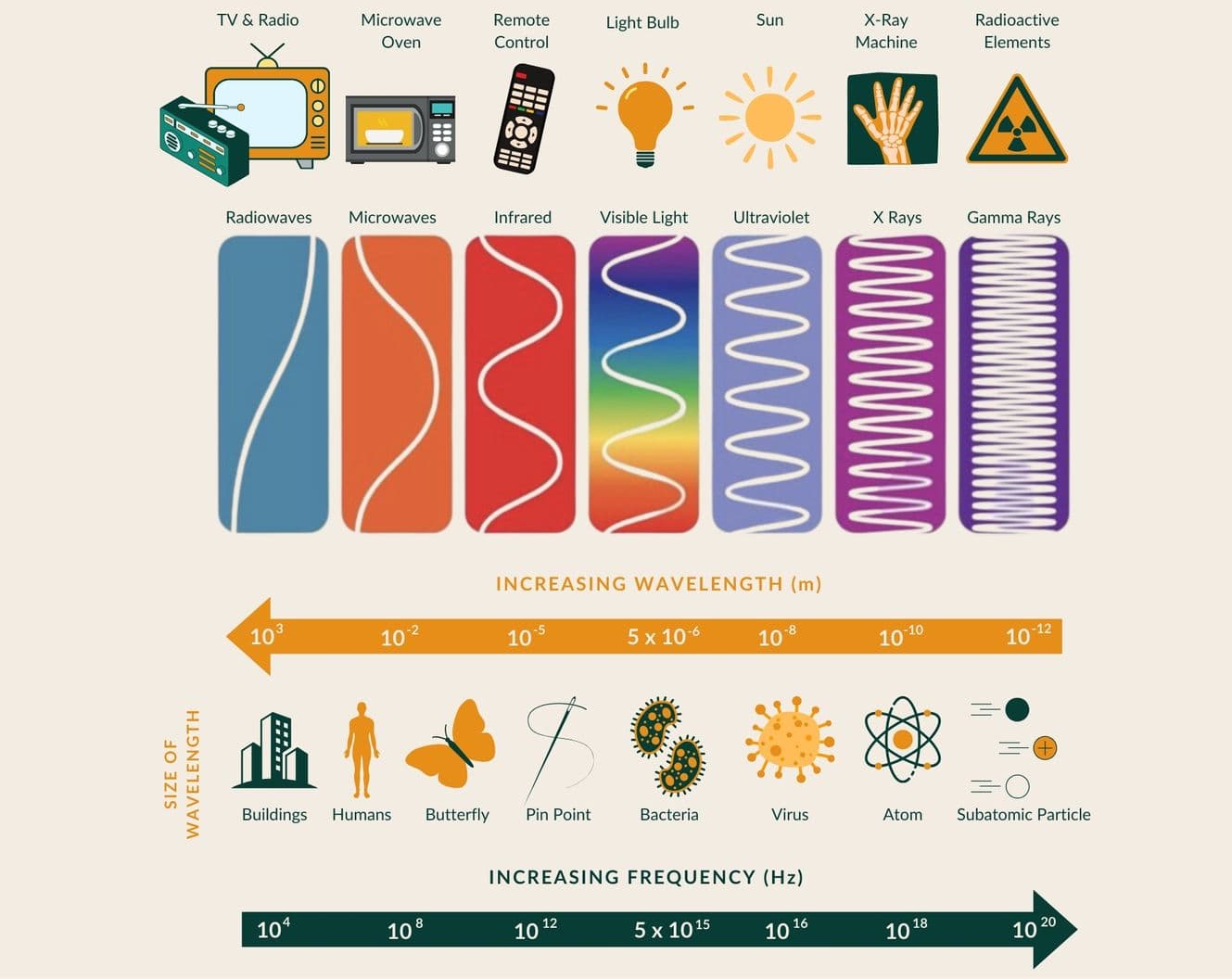 Infographic of the electromagnetic spectrum from radiowaves to gamma rays, with wavelength and frequency scales