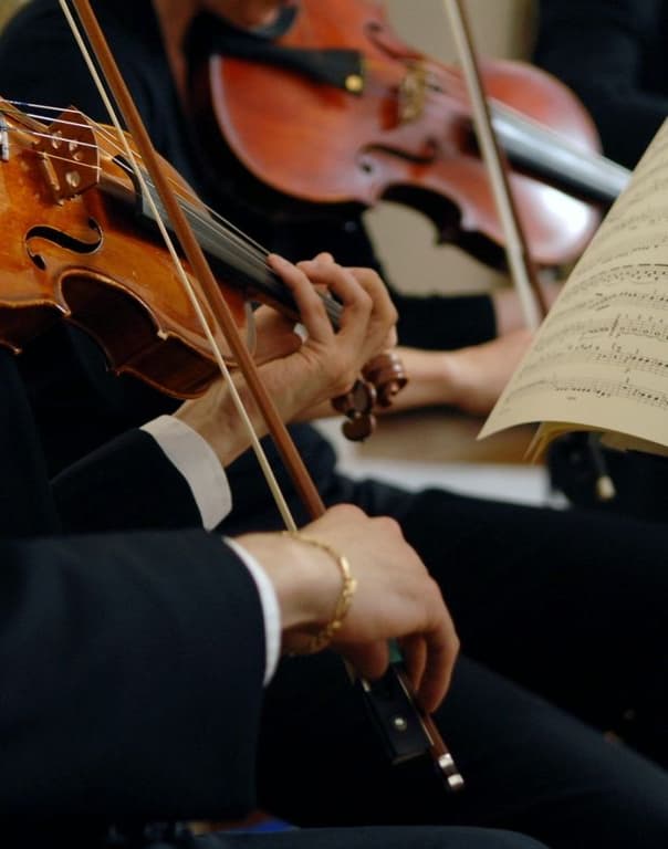 Close-up of violinists playing in an orchestra