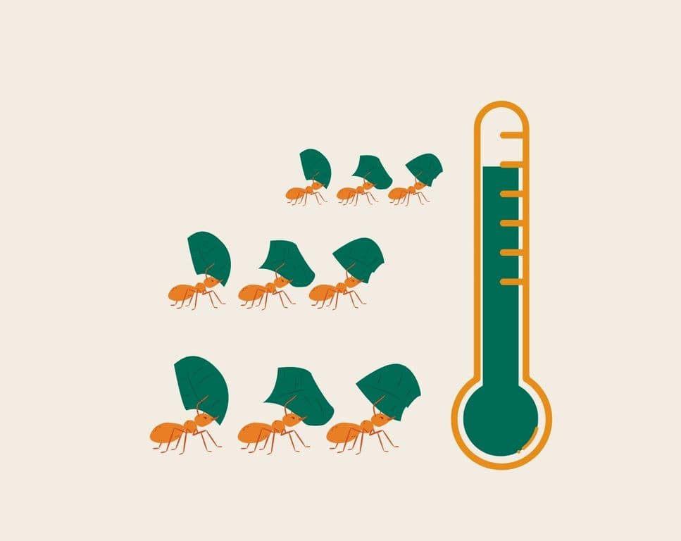 Illustration of ants carrying leaves beside a rising thermometer
