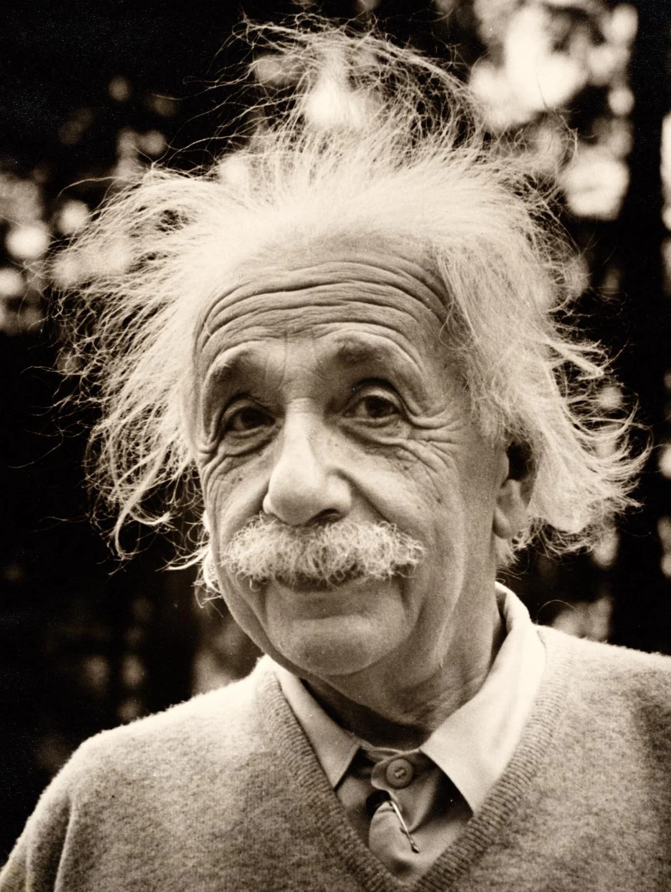 Portrait of Albert Einstein