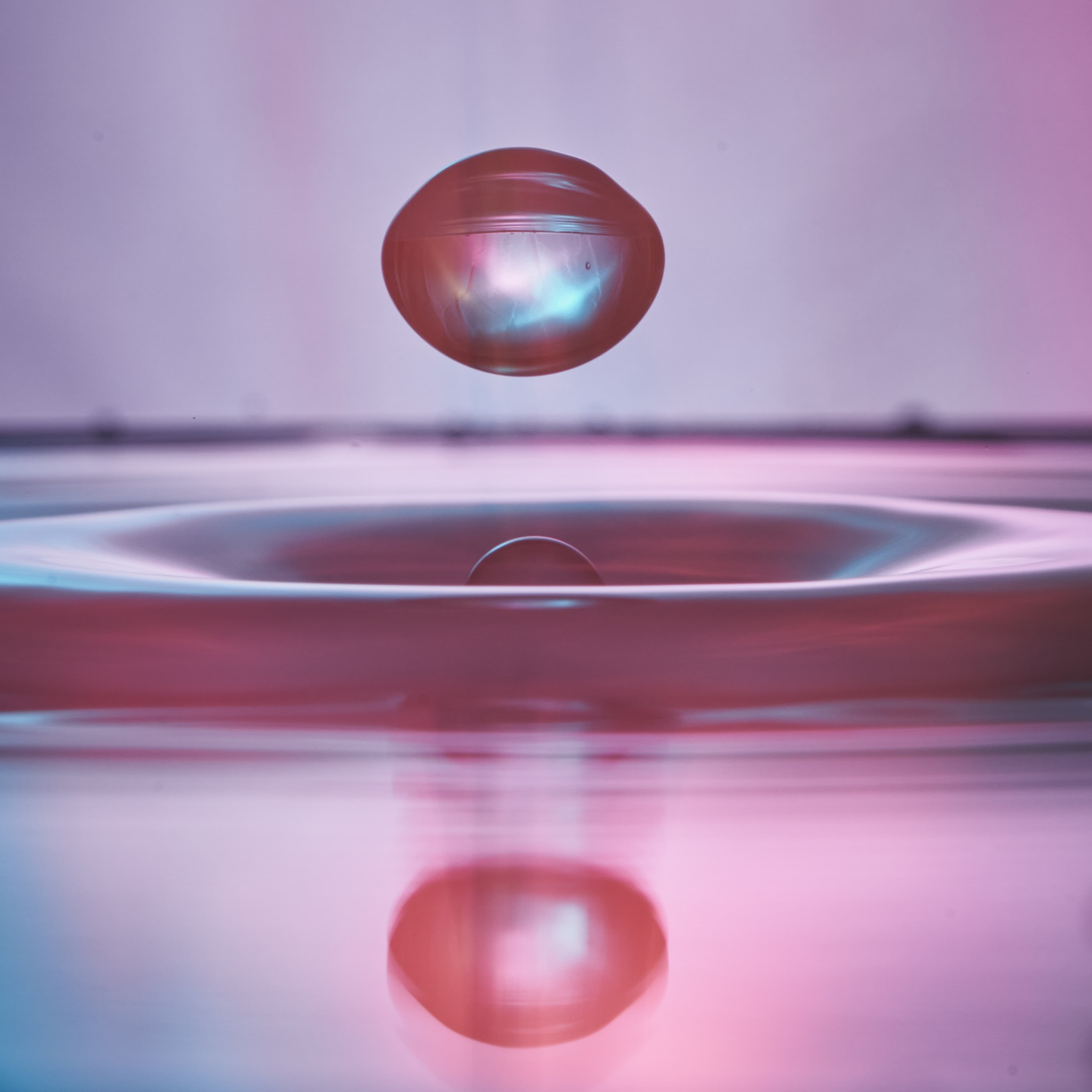A water droplet suspended above the ripples it has made