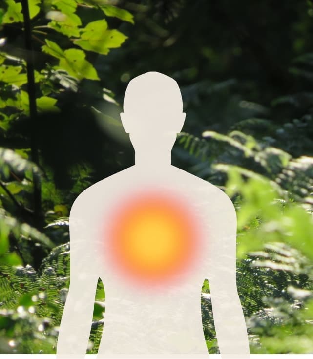 A human silhouette among green leaves with a warm glow at the heart