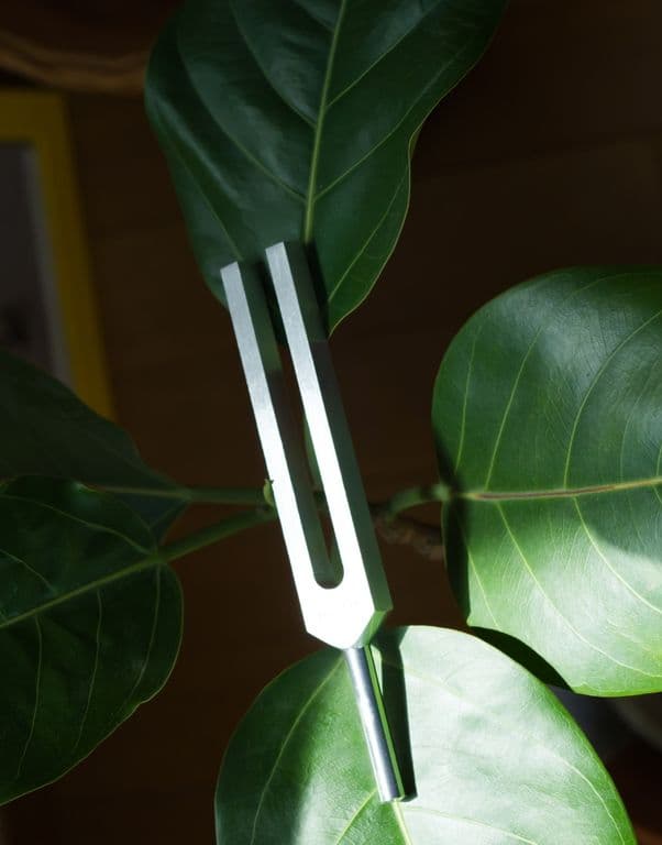 A tuning fork resting among green leaves