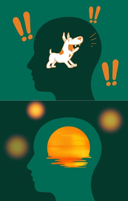 Two illustrations of a head in profile: one with a yapping dog inside, one with a calm sunset